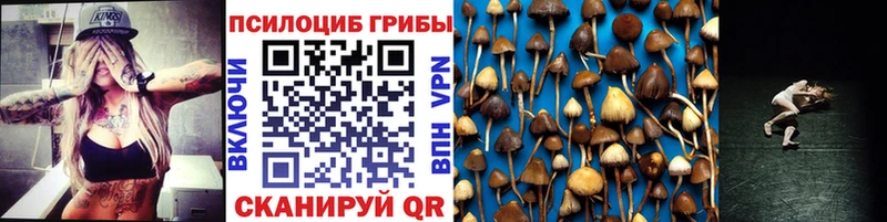 Галлюциногенные грибы Magic Shrooms  кракен зеркало  Грязи  сколько стоит 