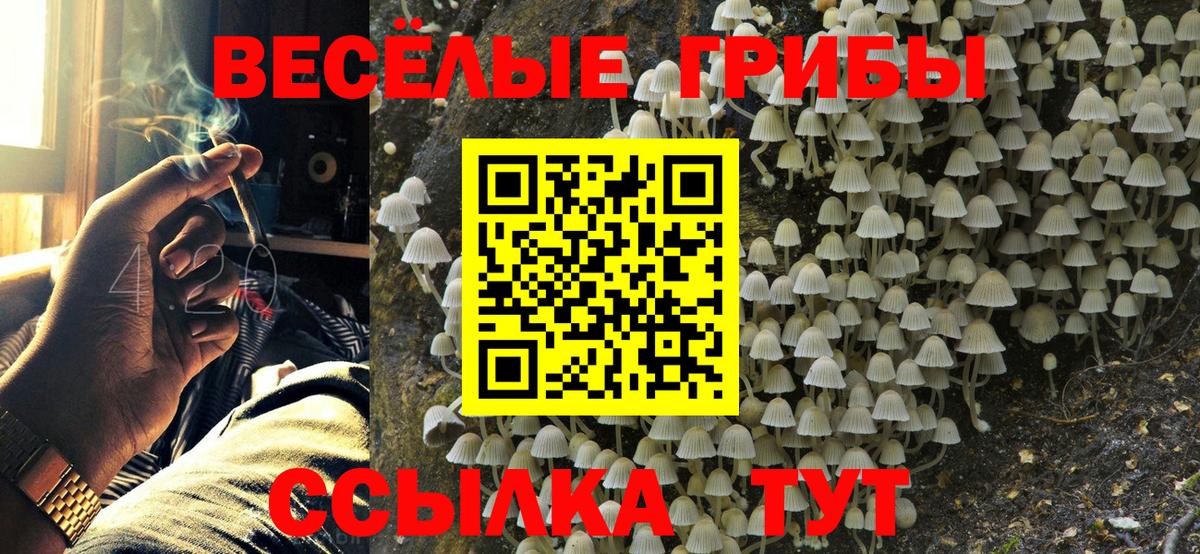 Грязи  Псилоцибиновые грибы Cubensis  Вход с VPN 
